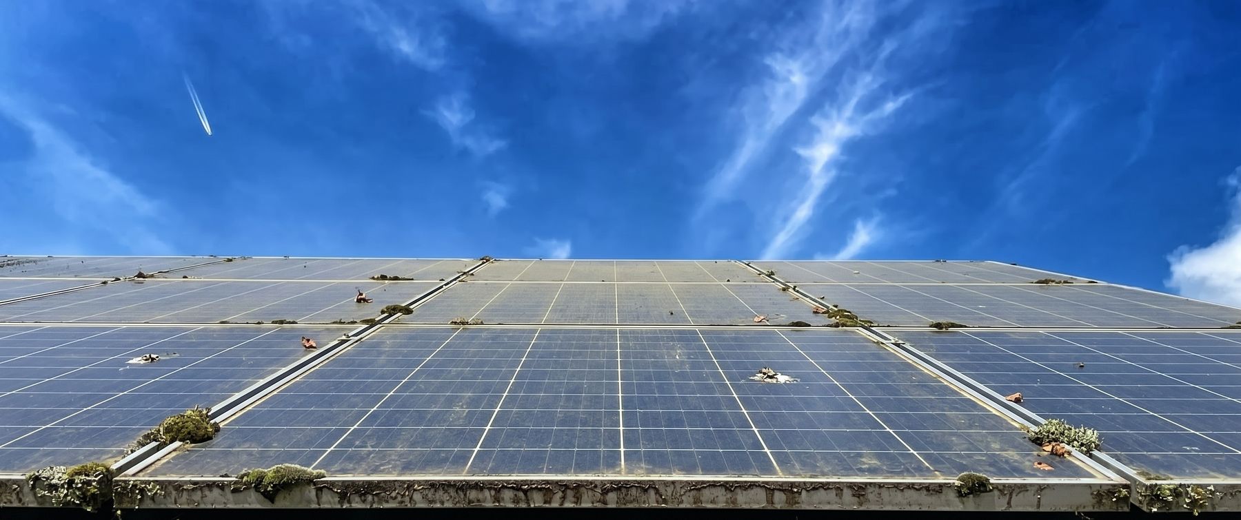 Verschmutzte Solarmodule mit Moos, Pollen und Vogelkot